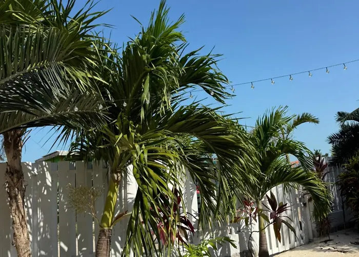 Secret Bed & Breakfast San Pedro (Ambergris Caye)