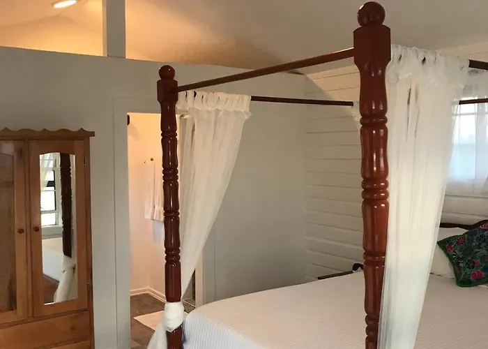 Secret San Pedro (Ambergris Caye)